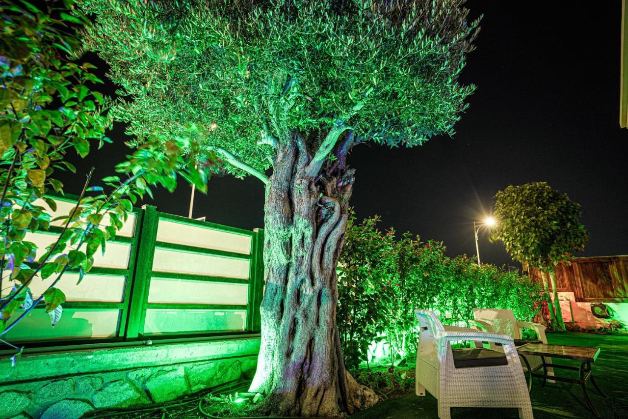 Villa Pomela By Sun And View エイラート エクステリア 写真